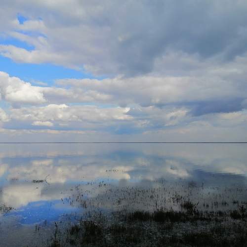 Photo #5570851