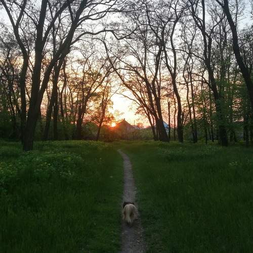 Photo #5570887