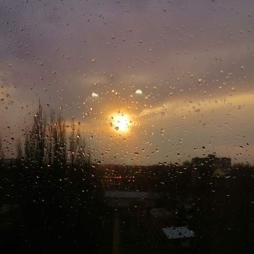 Photo #5570901