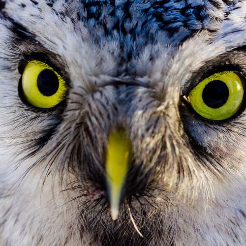 Photo #5571130