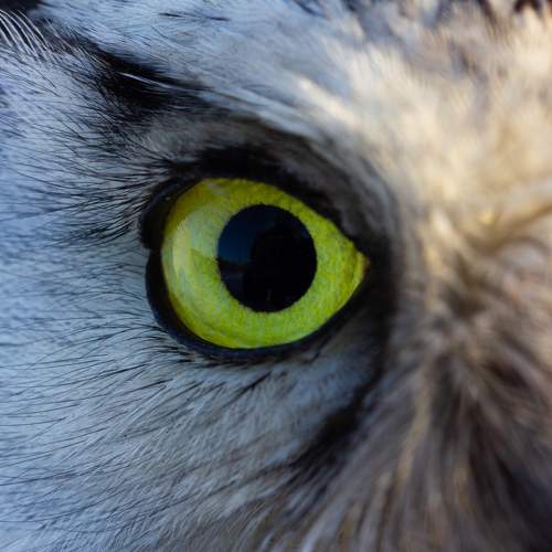 Photo #5571136