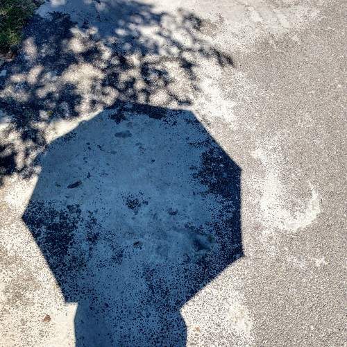 shadow
