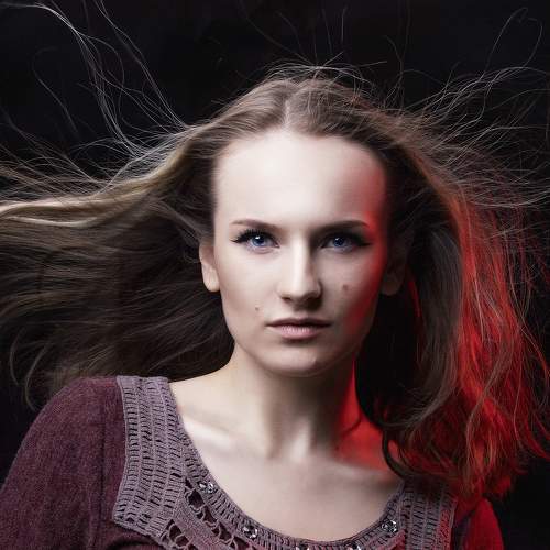 Photo #5571741