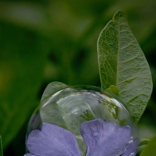 Photo #5571875