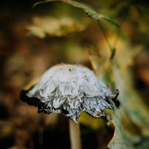 Photo #5571920