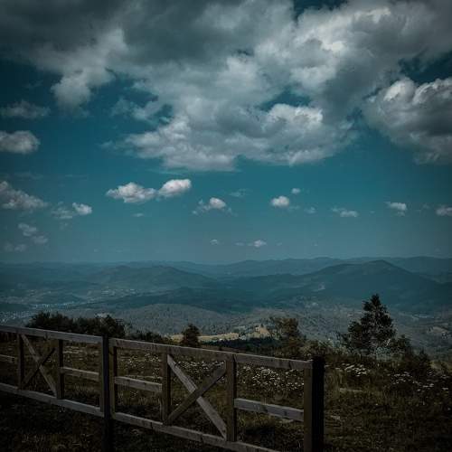 Photo #5572157