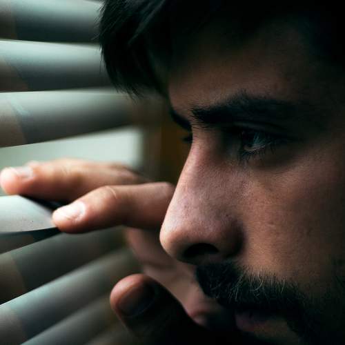 Photo #5572233