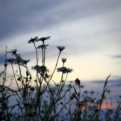 Photo #5572413