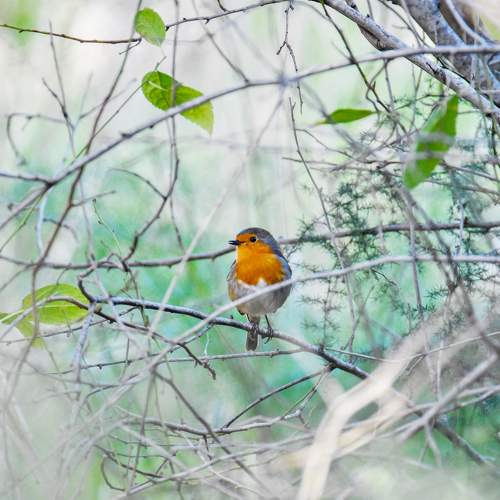 Photo #5572560