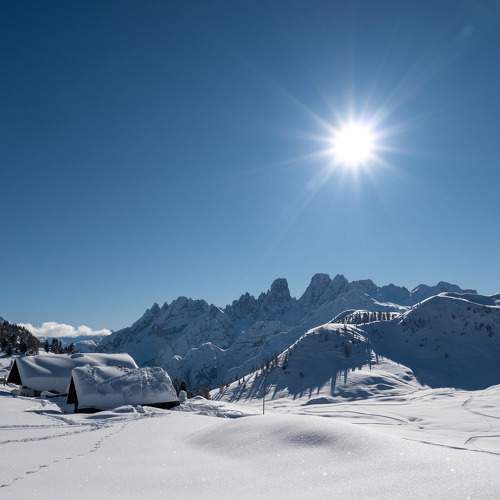 Photo #5572766