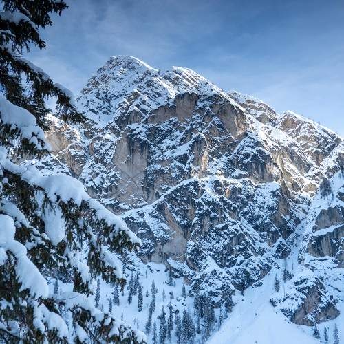 Photo #5572784
