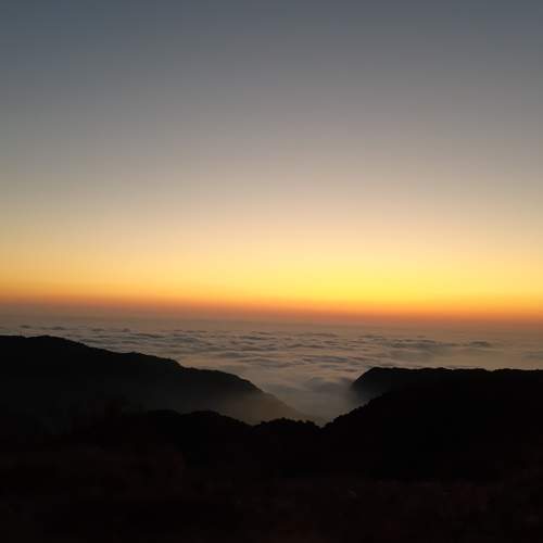 Photo #5572852