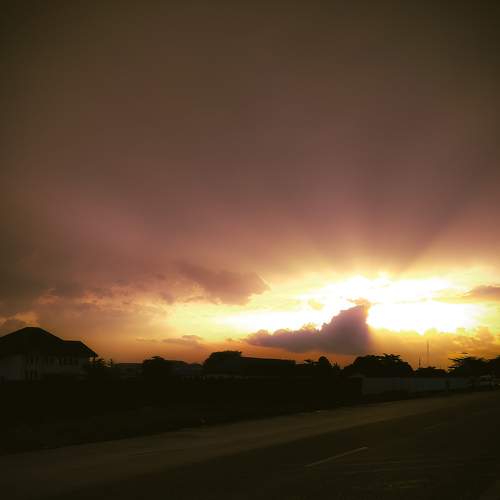 Photo #5572985