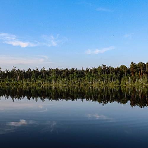 Photo #5573033