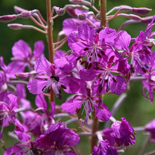 Photo #5573051