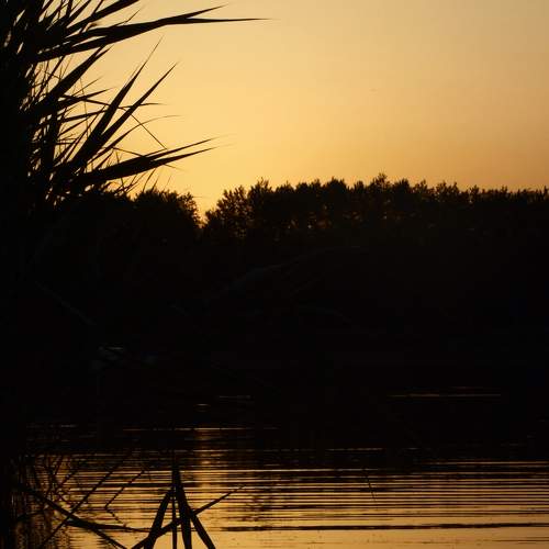 Photo #5573230