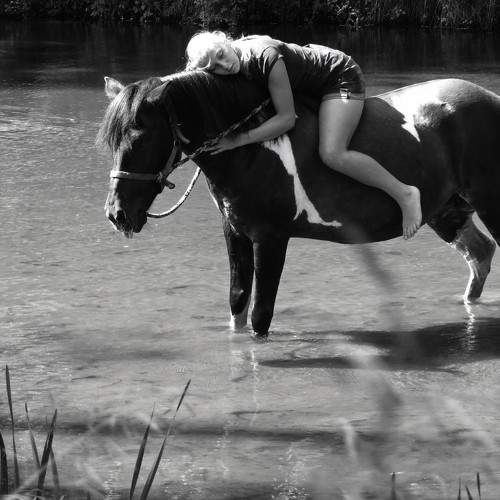 Photo #5573233