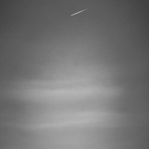 Photo #5573248