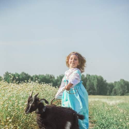 Photo #5573318
