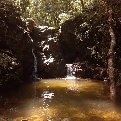 Photo #5573361