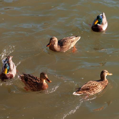 Photo #5573404