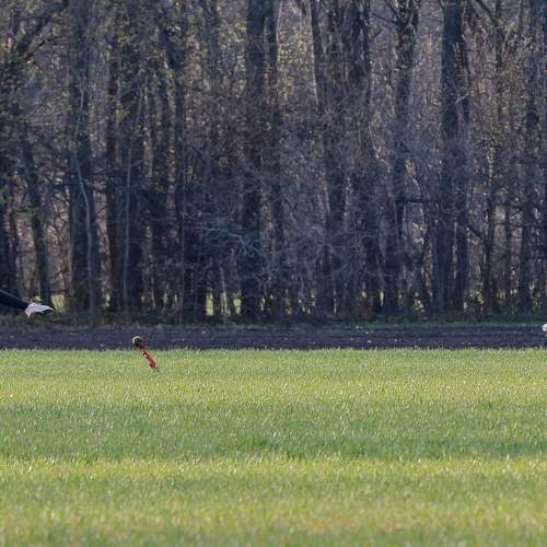 Photo #5574014
