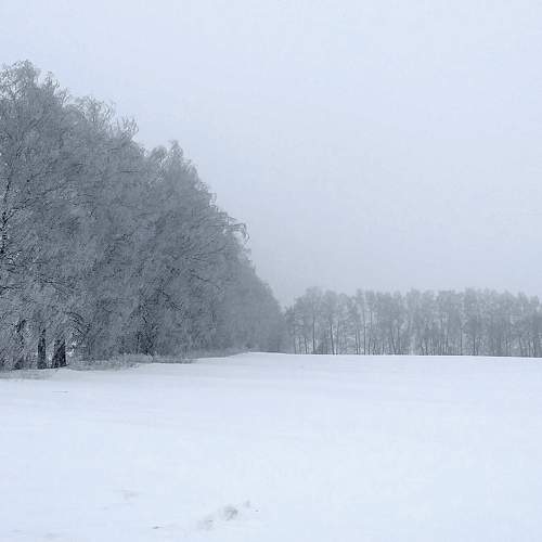 Photo #5574031