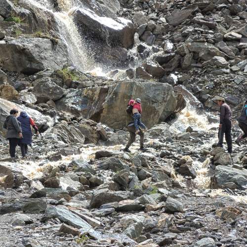 Photo #5574049