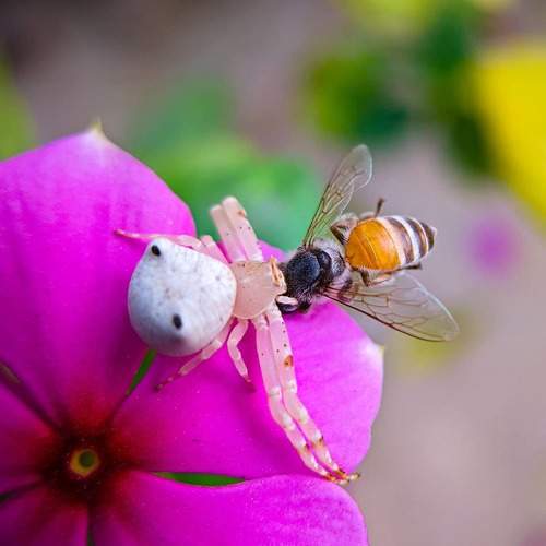 Photo #5574072