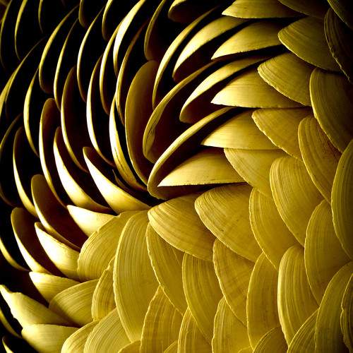 Photo #5574207