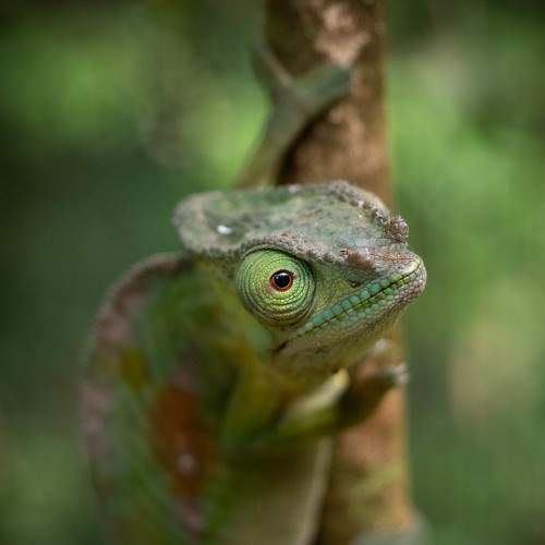 Photo #5574251