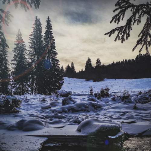 Photo #5574616