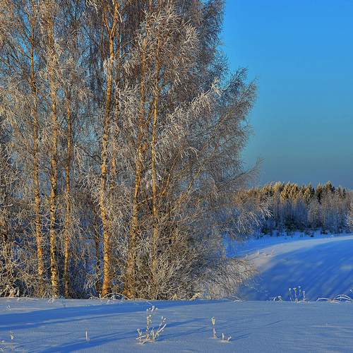 Photo #5574621
