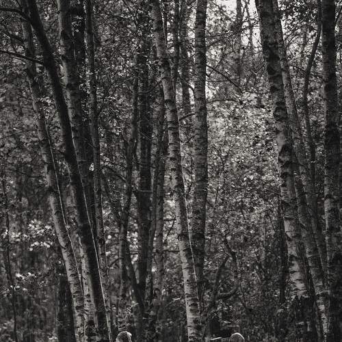 Photo #5574717