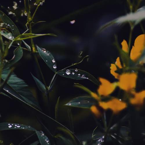 Photo #5574950
