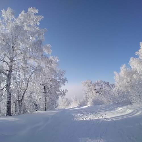 Photo #5575402