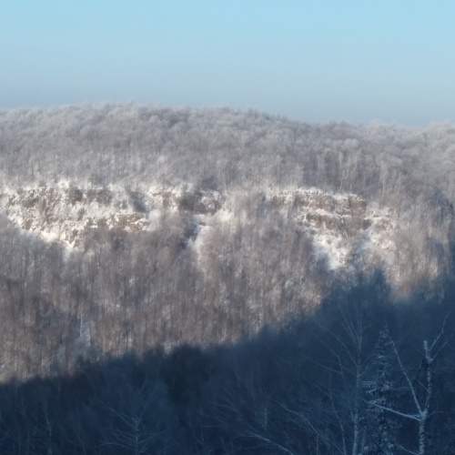 Photo #5575403