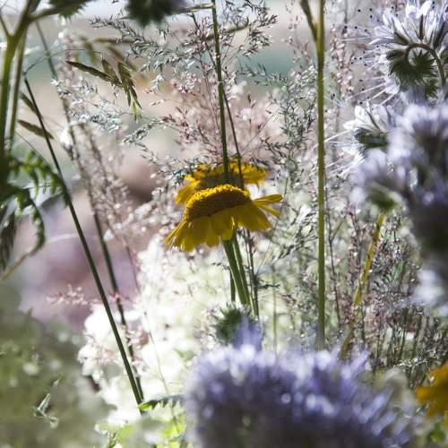 Photo #5575443