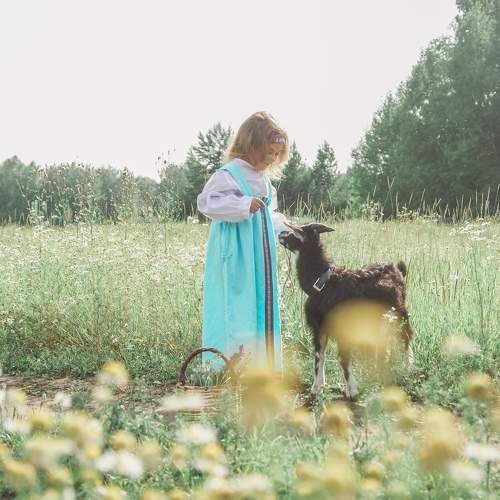 Photo #5575777