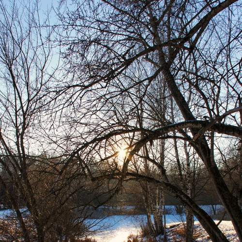 Photo #5575815