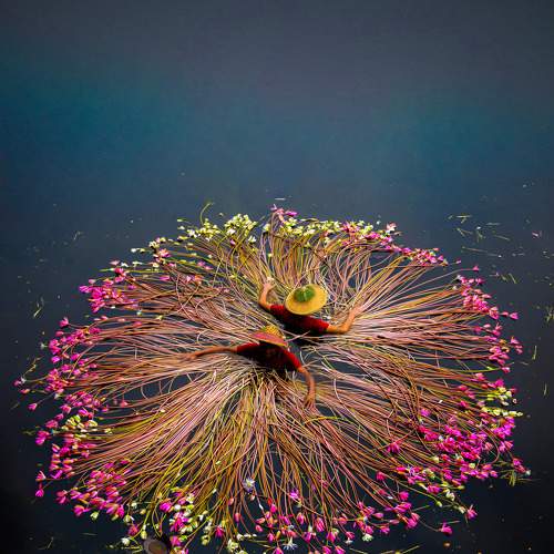 Photo #5576696