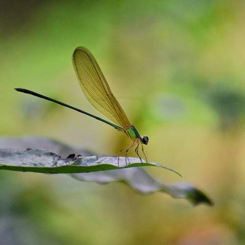 Photo #5576914