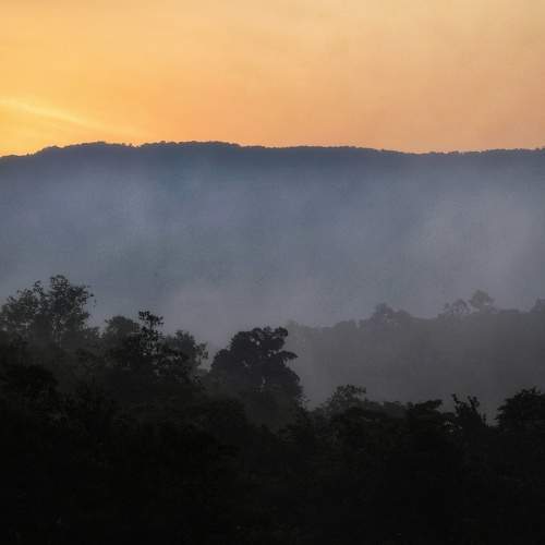 Photo #5576934