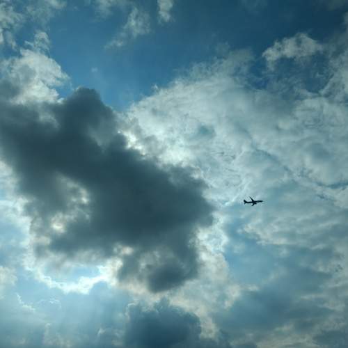 Photo #5577034