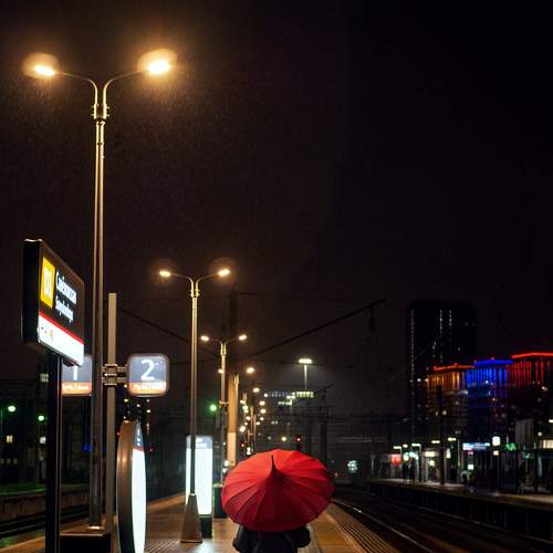 Photo #5577134