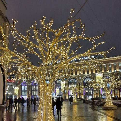 Photo #5577240
