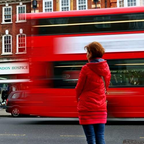 Photo #5577543