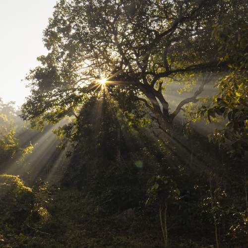 Photo #5578140