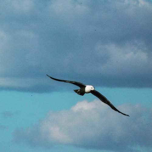 Photo #5578197