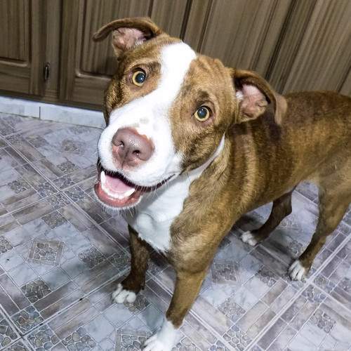 Photo #5578218